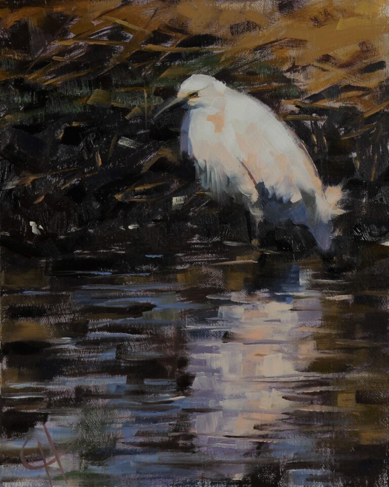 Egret Study